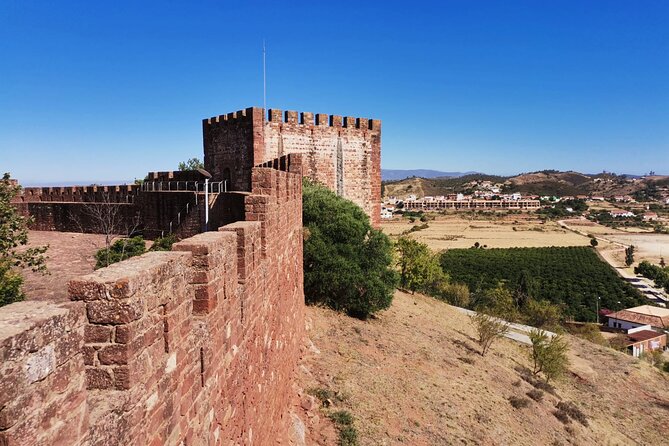 Small group Wine Tasting Tour from Lagos - Who should book this Algarve wine and Silves history tour