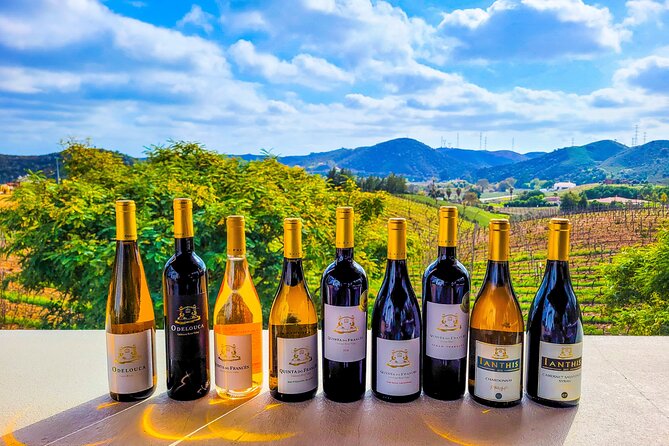 Small group Wine Tasting Tour from Lagos - Small-group van vibes: max 8 is the sweet spot