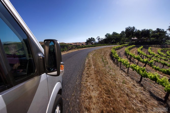 Small-Group Wine Tasting Tour of Santa Barbara Wine Country - Private Estate Access: Why This Tour Feels Different From the Usual Santa Barbara Stops