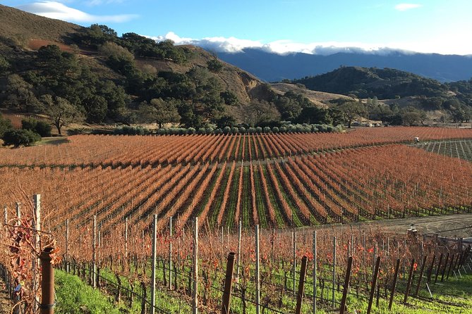 Small-Group Wine Tasting Tour of Santa Barbara Wine Country - Price and Value: Is $235 Worth It in Santa Barbara Wine Country?