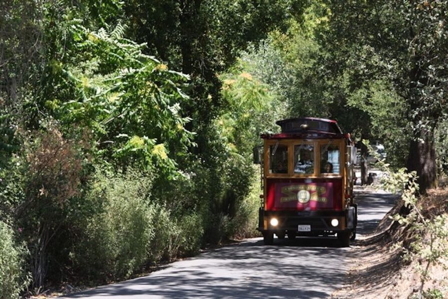 Sonoma Valley: Wine Trolley Tasting Tour with Lunch - Who this tour fits best (and who should rethink it)
