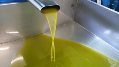 Sorrento: Lemon, Olive Oil and Wine Tasting Tour with Lunch - Lemons, pergolas, and the orchard walk you’ll keep thinking about