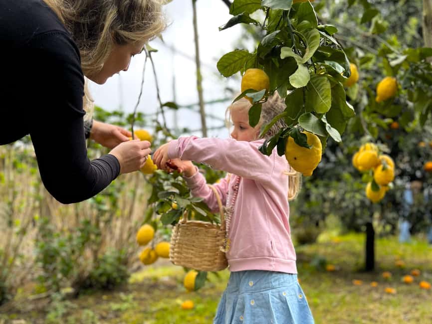 Sorrento: Lemon Picking & Tasting Tour - Lemon lemonade and marmalades: the tasting portion that makes sense