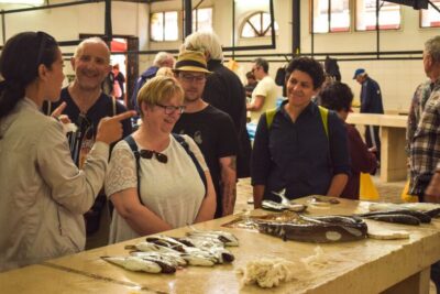 Split: Private Food Tasting Tour - The market route: what the Green Market and Fish Market add