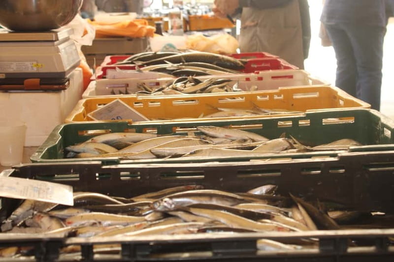 Split: Small Group Food Tour with Private Option - How to Get the Best Experience From Your Tasting Tour