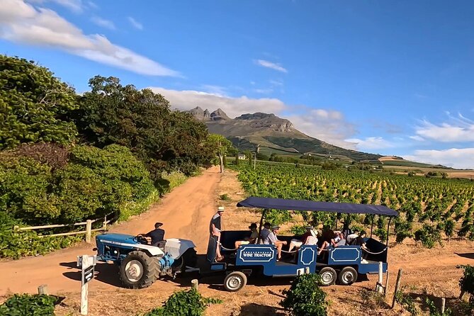 Stellenbosch Wine Tractor hop-on-hop off wine tasting tour - Key things to know before you ride the Stellenbosch wine tractor