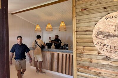 Stellenbosch Wine Tractor hop-on-hop off wine tasting tour - Where you start at Eikendal—and how the hop-on hop-off day works