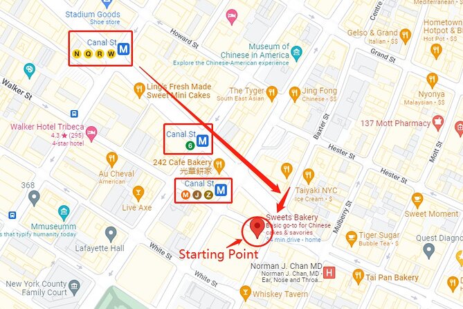 Taste of Chinatown, Little Italy New York Culture and Food Tour - Stop-by-Stop in Chinatown: Egg Tarts, Old Tea Houses, Dumplings, and Dim Sum