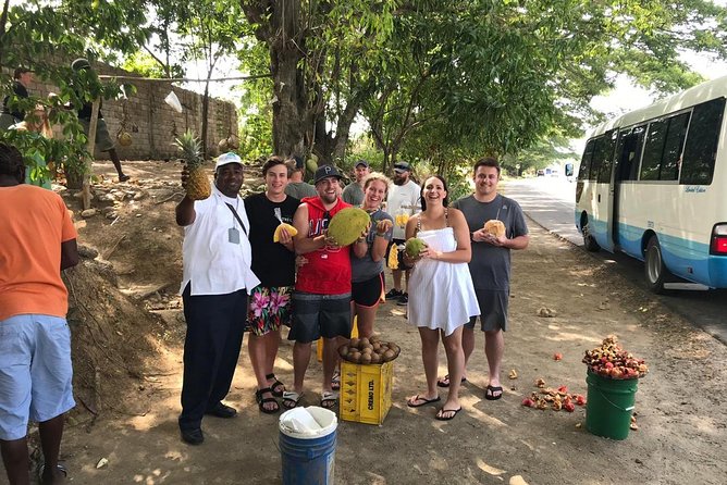 Taste of Jamaica Food Tour from Ocho Rios - Price and Logistics: Is $150 Good Value?