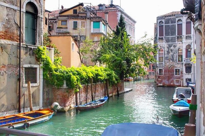 Tasty Street Food Tour of Venice City Center with Cicchetti & Local Specialties - Walking, Footpaths, and Smart Packing Tips
