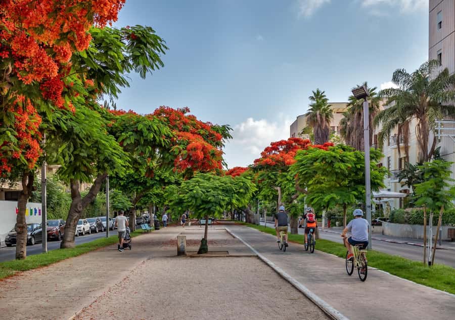 Tel Aviv: Carmel Market & Tel Aviv Tour with Tastings - Where the tour starts (and why it matters)