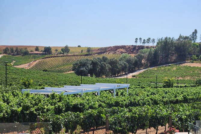 Temecula Wine Tour Voted Best! - Old Town Temecula: the short intro that makes the day feel complete