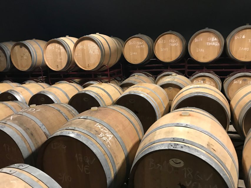The Real Algarve: 2 Boutique Wineries & Silves Tour - The Real Algarve isn’t flashy. It’s hands-on