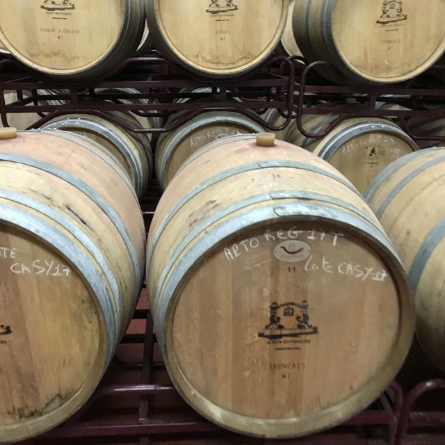 The Real Algarve: 2 Boutique Wineries & Silves Tour - Lagoa estate time: six tastings start building context