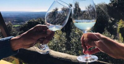 The Real Algarve: 2 Boutique Wineries & Silves Tour - Pickup from Albufeira and the morning drive to Lagoa