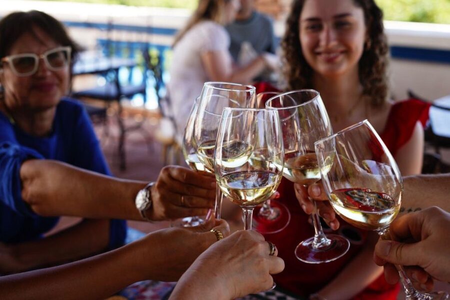 The Real Algarve: 2 Boutique Wineries & Silves Tour - Silves break: use your two hours well