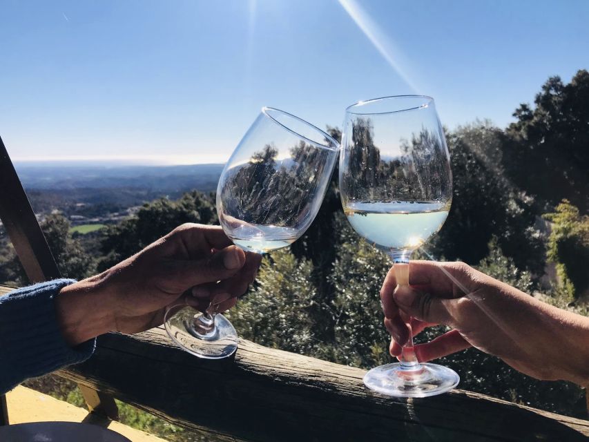 The Real Algarve: 2 Boutique Wineries & Silves Tour - Quinta do Francês: the second winery makes the comparison real