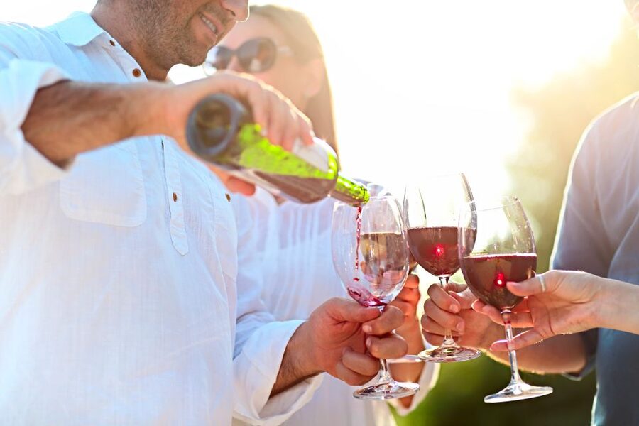 The Real Algarve: 2 Boutique Wineries & Silves Tour - Pairings and snack strategy: how the food supports the wines
