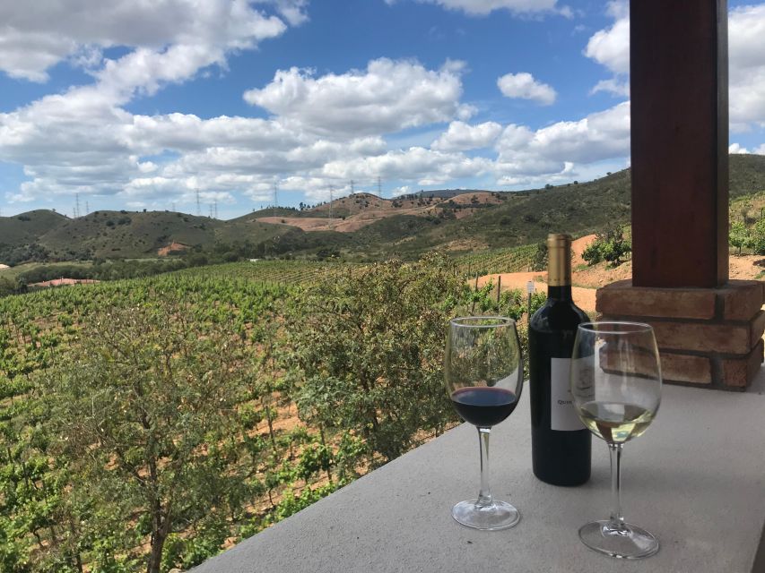 The Real Algarve: 2 Boutique Wineries & Silves Tour - The small-group effect: why the guides feel personal