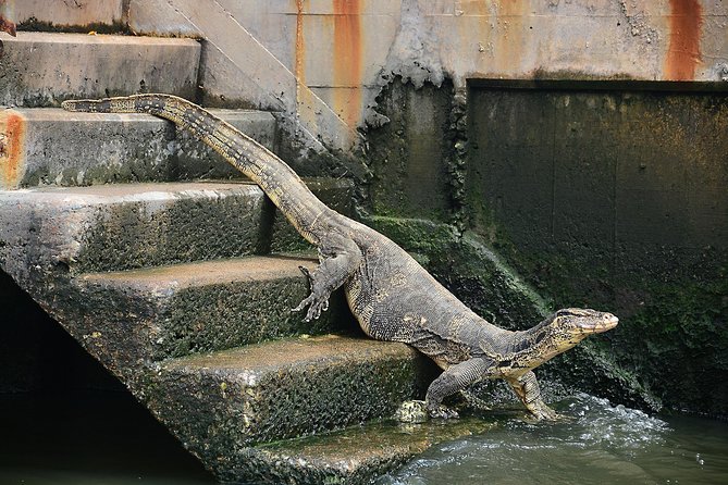 Timeless Thonburi Canal and Food Tour - Practical Stuff That Can Make or Break Your Morning
