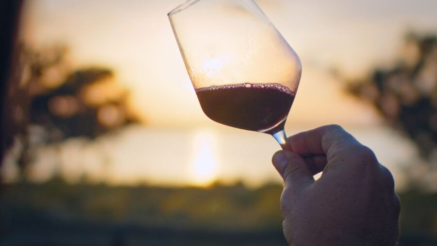 Torrevieja: Local Wine and Food Tasting Tour in La Mata Park - Quick hits: what makes this tour work