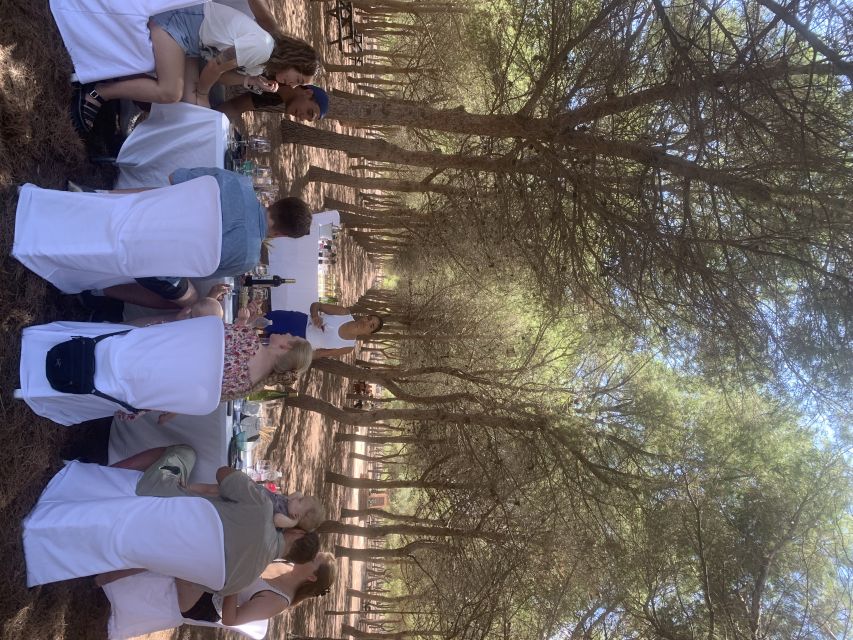 Torrevieja: Local Wine and Food Tasting Tour in La Mata Park - Your 3-hour flow: from lagoon intro to the tasting tables