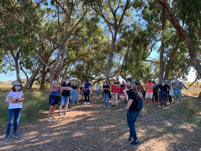 Torrevieja: Local Wine and Food Tasting Tour in La Mata Park - The vineyard route and the 15th-century stop that adds meaning