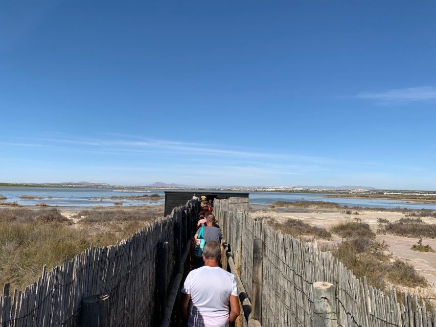 Torrevieja: Local Wine and Food Tasting Tour in La Mata Park - Flamingos and the Pink Lagoon: what happens in hot weather
