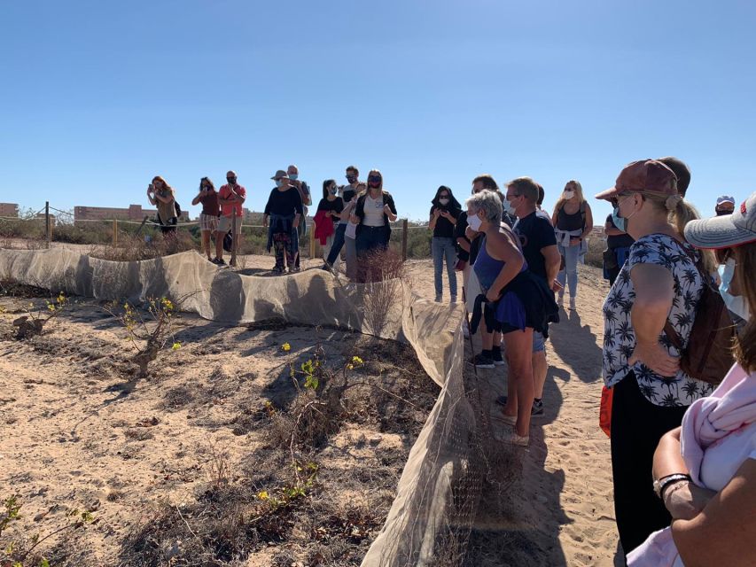 Torrevieja: Local Wine and Food Tasting Tour in La Mata Park - Price and value: is $45 worth it here?