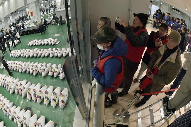 Toyosu Market Morning Tuna Auction and Tsukiji Food Tour with Licensed Guide - How the tuna auction viewing works (and what tickets you need)