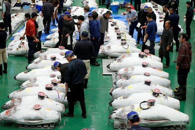 Toyosu Market Morning Tuna Auction and Tsukiji Food Tour with Licensed Guide - Toyosu Market walk: what you’re actually learning