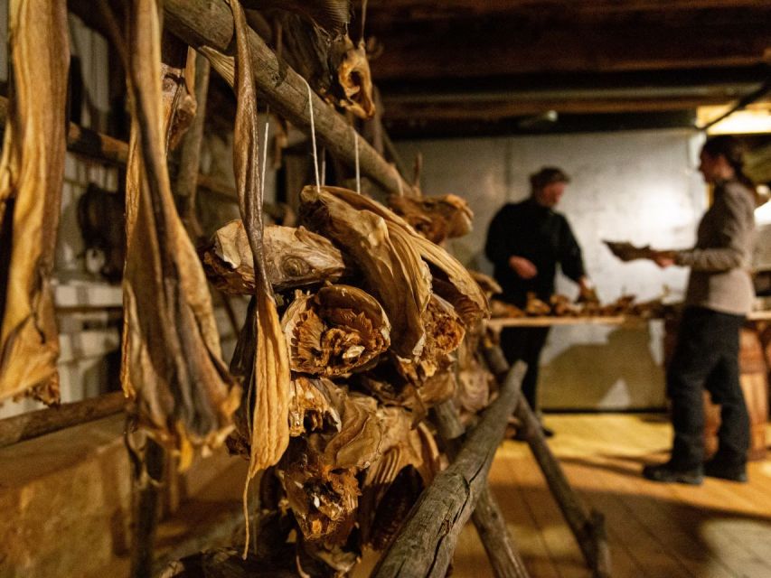 Tromso: Cod-Tasting Tour with Full Steam Museum Entry - Who this is best for (and who might skip it)