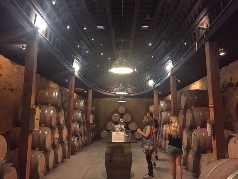 Valle de Guadalupe Wine Tasting Tour - The boutique winery circuit: barrels, vines, and owner conversations