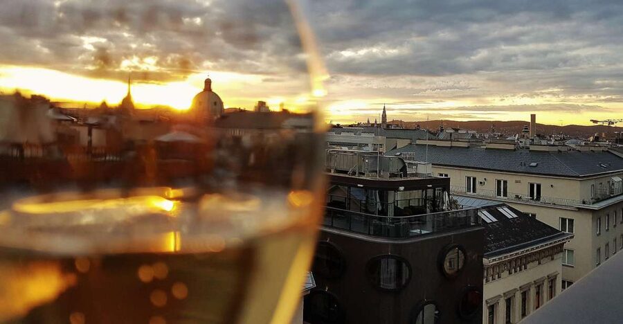 Vienna: Wine Tasting Tour - Turning Vienna’s Center Into a Wine Tasting Route
