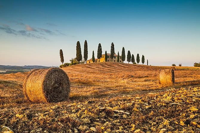Walking Food Tour of Florence with Tastings and Wine - Vegetarians and dietary needs: you’ll want to flag it