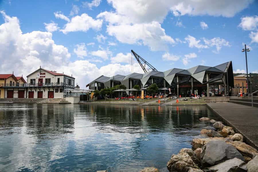 Wellington: 3 Hour Walking Food Tour - The Food Stops: Beer, Chocolate, Pizza, and Award-Style Bites