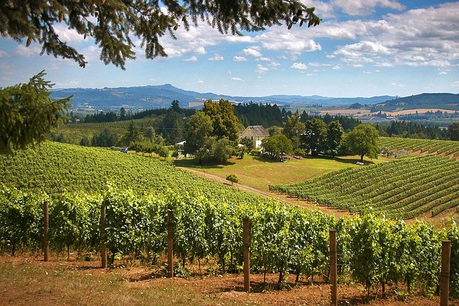 Willamette Valley Wine Tasting Tour from Portland - Quick takeaways