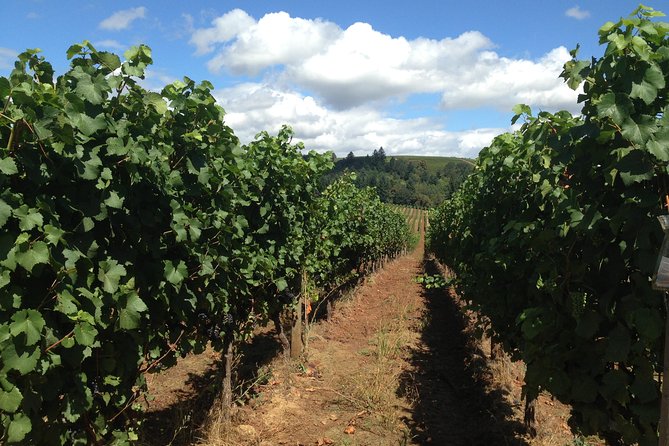 Willamette Valley Wine Tasting Tour from Portland - Should you book this Willamette Valley day trip from Portland?