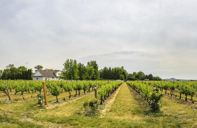 Wine, Cheese, Chocolate 6 Hour Tasting Tour with Lunch - Quick highlights for wine, cheese, and chocolate tastings