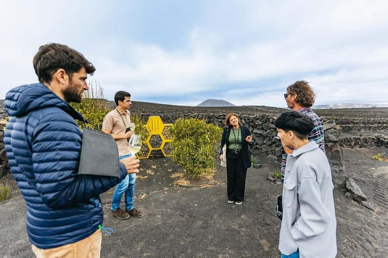 Wine Lovers: Wine Tasting Tour at El Grifo Bodega Lanzarote - Key things to love about the El Grifo Wine Lovers tour