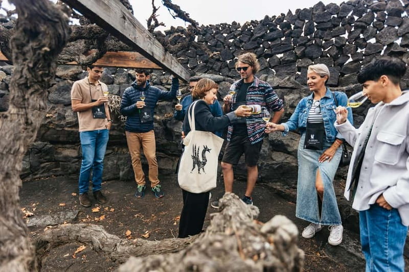 Wine Lovers: Wine Tasting Tour at El Grifo Bodega Lanzarote - Practical tips for comfort: wind, drizzle, and lava-stone footing