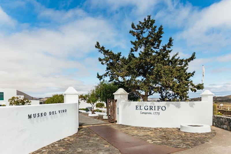 Wine Lovers: Wine Tasting Tour at El Grifo Bodega Lanzarote - Who should book this El Grifo wine tasting tour