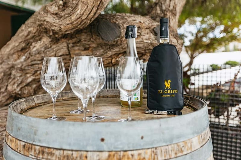 Wine Lovers: Wine Tasting Tour at El Grifo Bodega Lanzarote - Should you book El Grifo’s Wine Lovers tour?