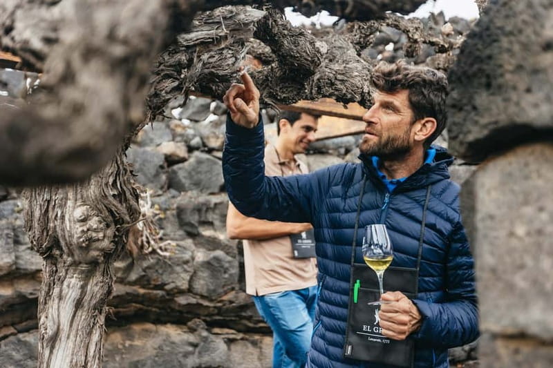 Wine Lovers: Wine Tasting Tour at El Grifo Bodega Lanzarote - Meet the head sommelier and get your “what am I tasting” answer fast