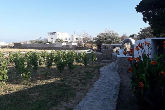 Wine Tasting Tour at a traditional farm in Mykonos - The Four-Wine Flight: A Likely Order of What You’ll Sip