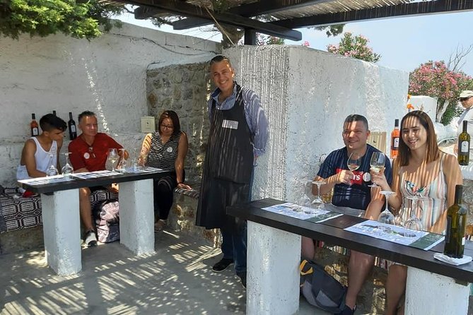 Wine Tasting Tour at a traditional farm in Mykonos - Stop: The Tasting Itself at Mykonian Farm
