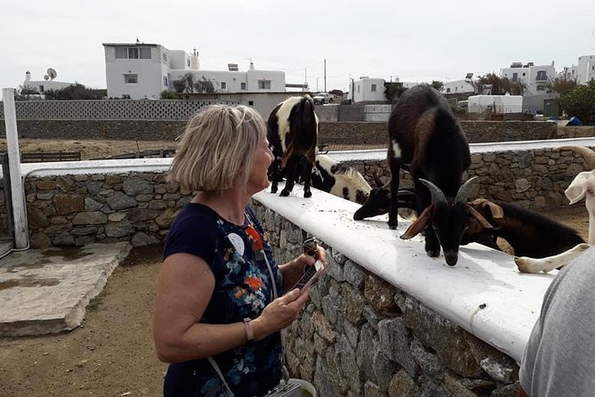 Wine Tasting Tour at a traditional farm in Mykonos - Group Size and the Vibe: Cozy, Not Big-Tour
