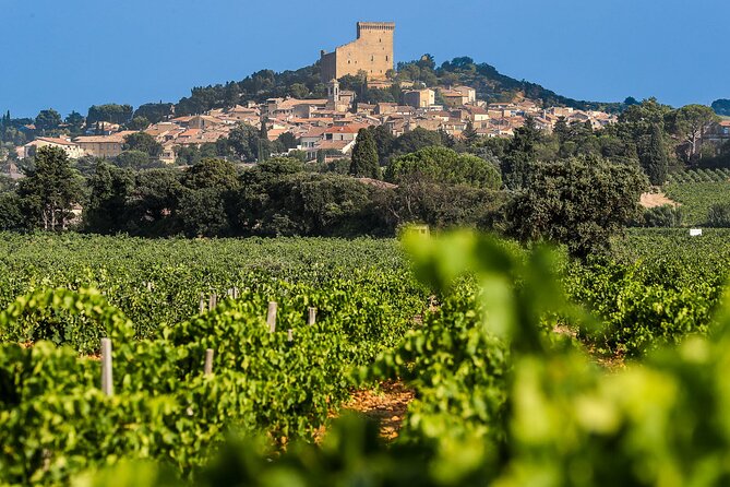 Wine Tasting Tour at Châteauneuf du Pape - Key things to know before you go