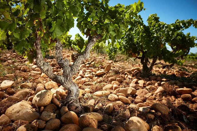 Wine Tasting Tour at Châteauneuf du Pape - Châteauneuf-du-Pape, scheduled for late afternoon