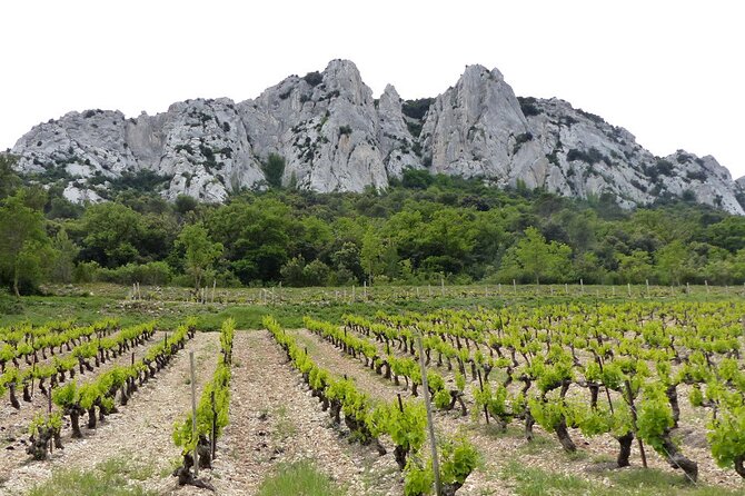 Wine Tasting Tour at Châteauneuf du Pape - The 5-hour flow: how the afternoon is built